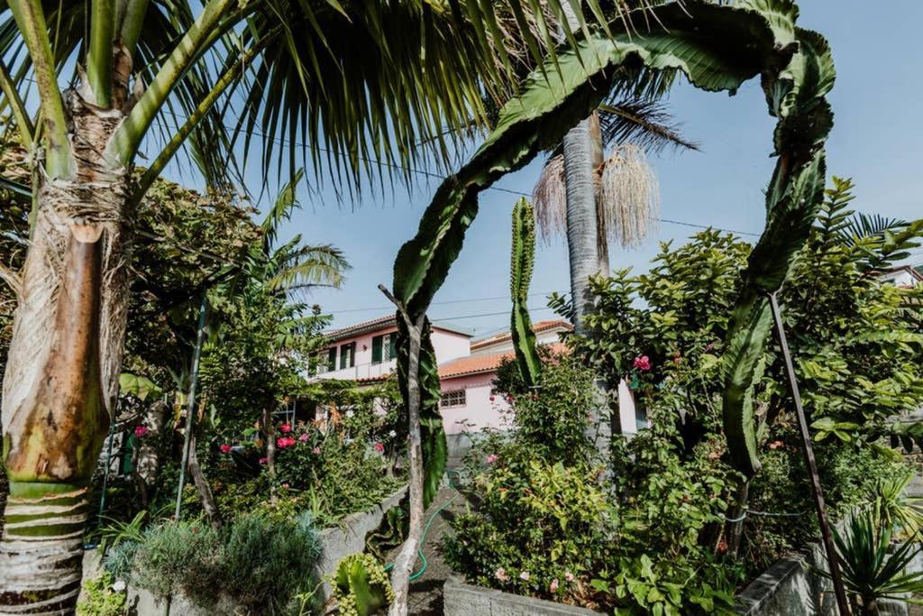 City View Gardens Фуншал Экстерьер фото