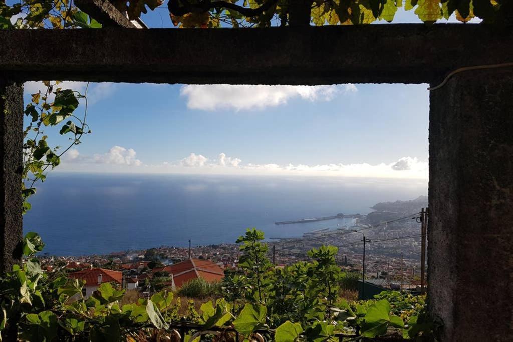 City View Gardens Фуншал Экстерьер фото